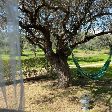 Vila Salty Olive Villa, #feelslikehome